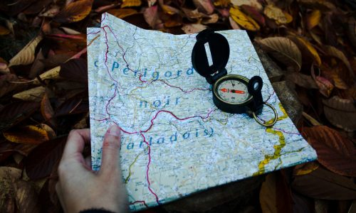 denise-jans-CelYLE6Zvro-unsplash